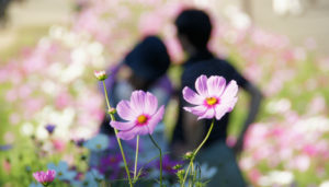 花畑とカップル